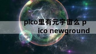 pico里有元宇宙么 pico newground
